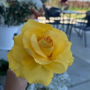 Meet your Posher, Maria